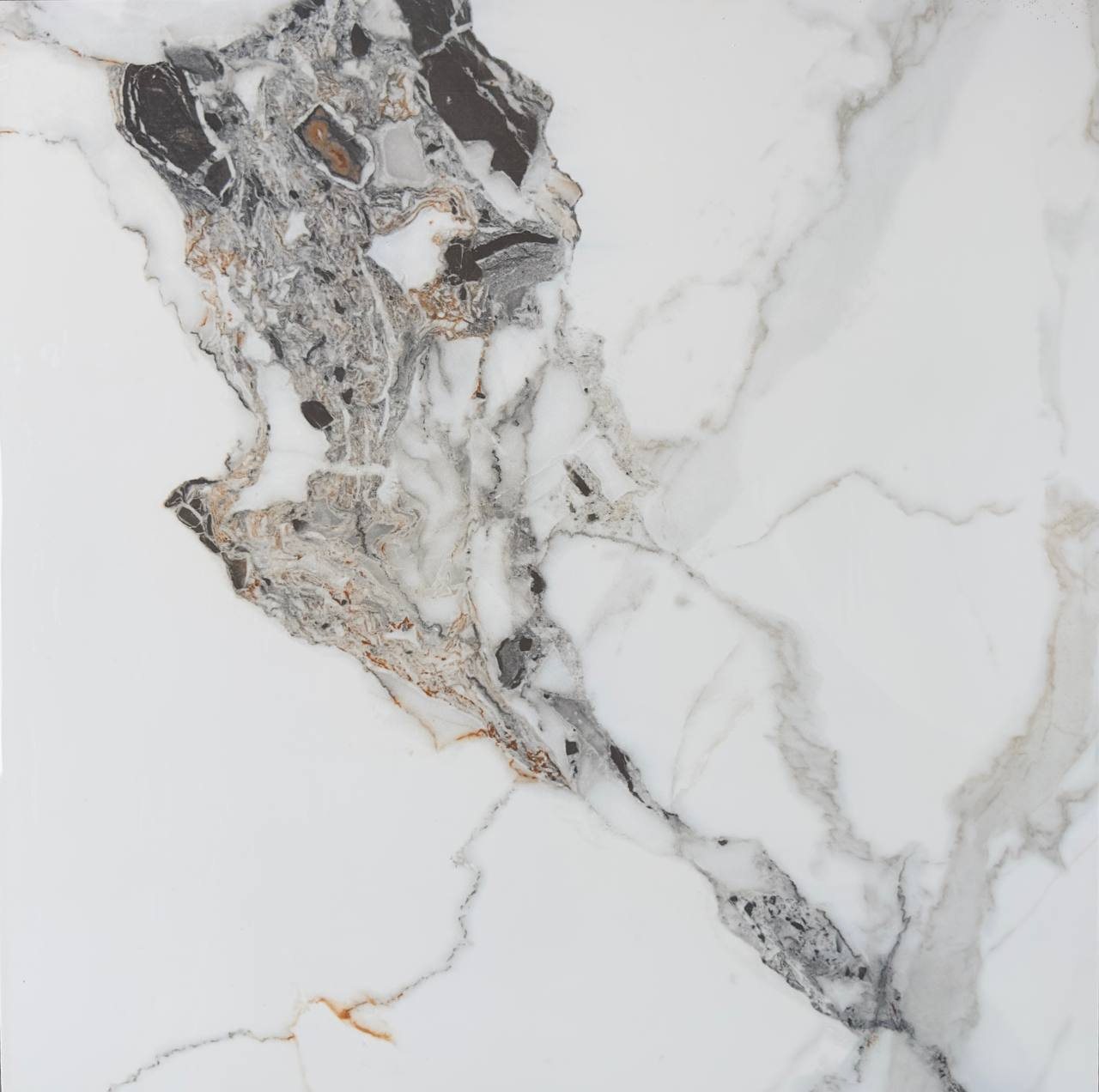 Dorian 60×60, фото партии 2