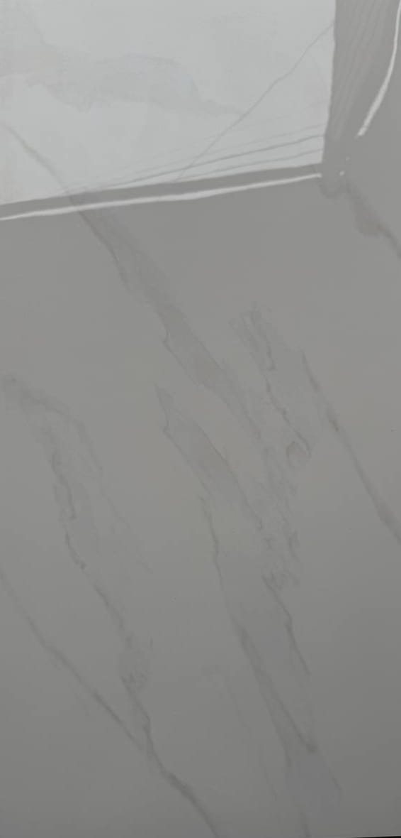 Force 60×120, фото партии 2