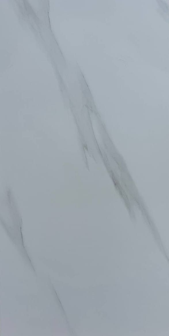 Proshat 60×120, фото партии 1