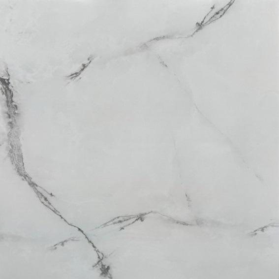 White Taylor 60×60, фото партии 4