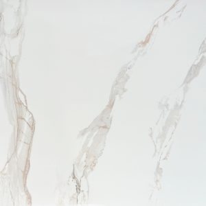 Xtream 60×60, фото партии 5