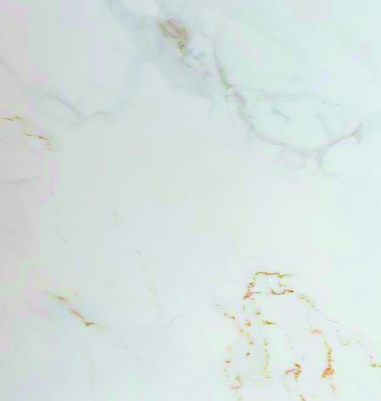 Elegant 60×120, фактура плитки